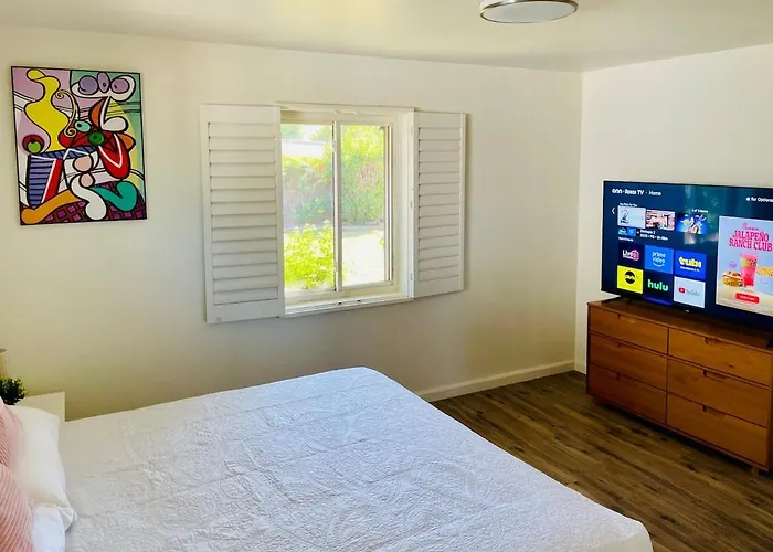 Mid Centry Modern & Pool